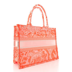 Transparent Canvas Embroidered Medium Dioriviera Toile De Jouy Book Tote