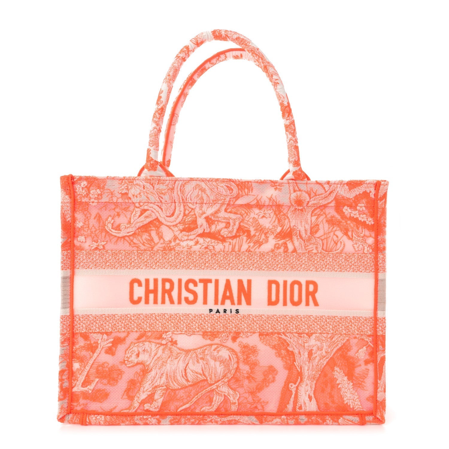 Transparent Canvas Embroidered Medium Dioriviera Toile De Jouy Book Tote
